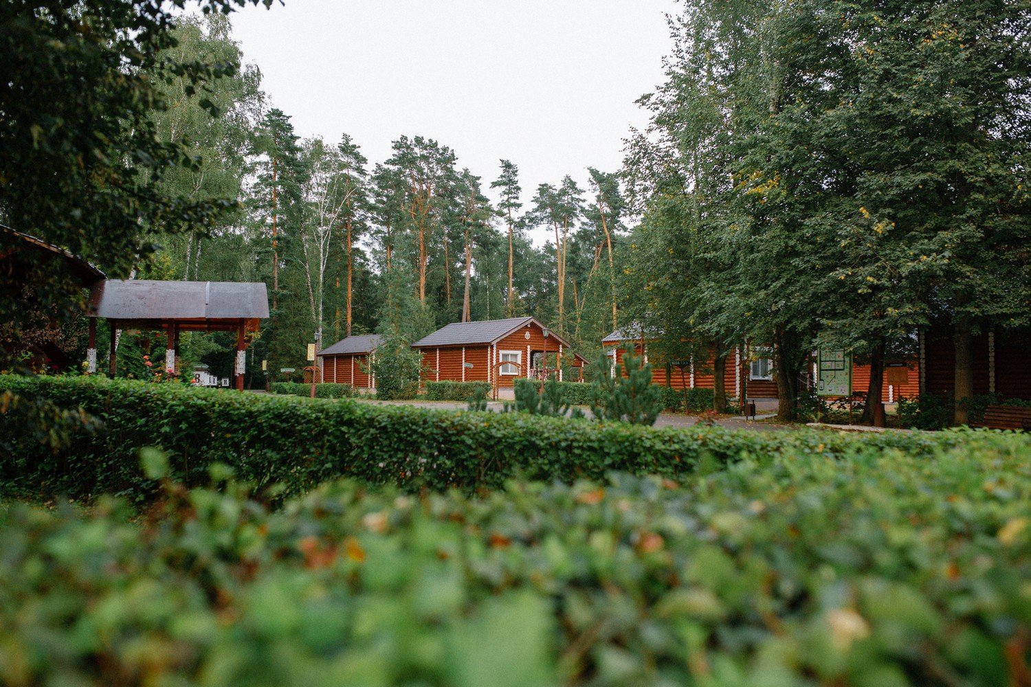 Вятичи ECO Resort Medical SPA Вятичи ECO Resort Medical SPA